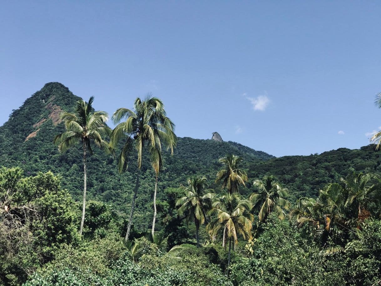 Lugar Ilha Grande