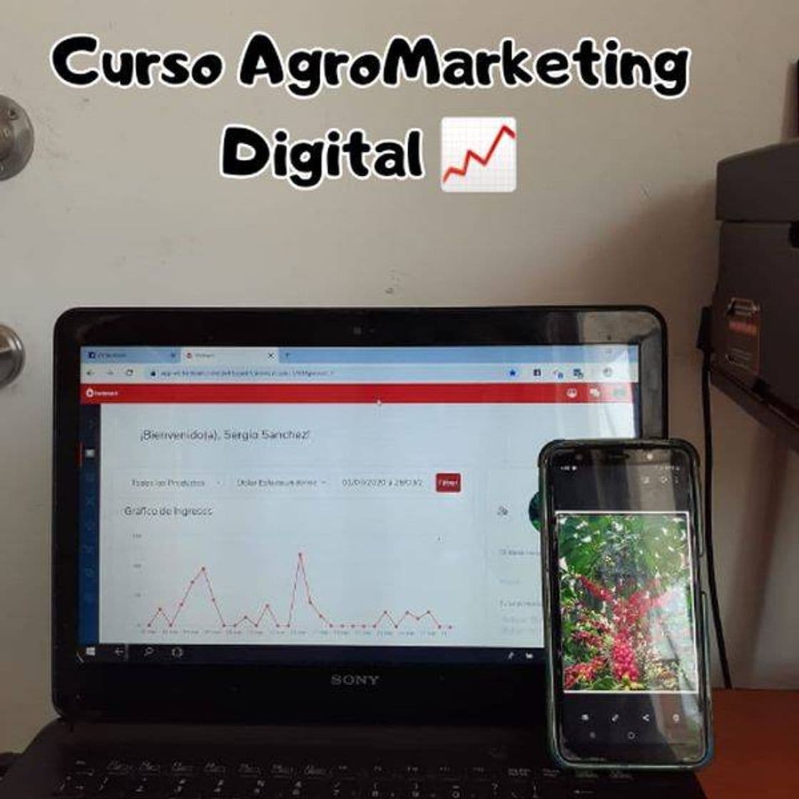 Fashion AgroMarketing Digital

