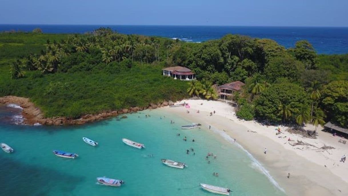 Lugar Isla Iguana