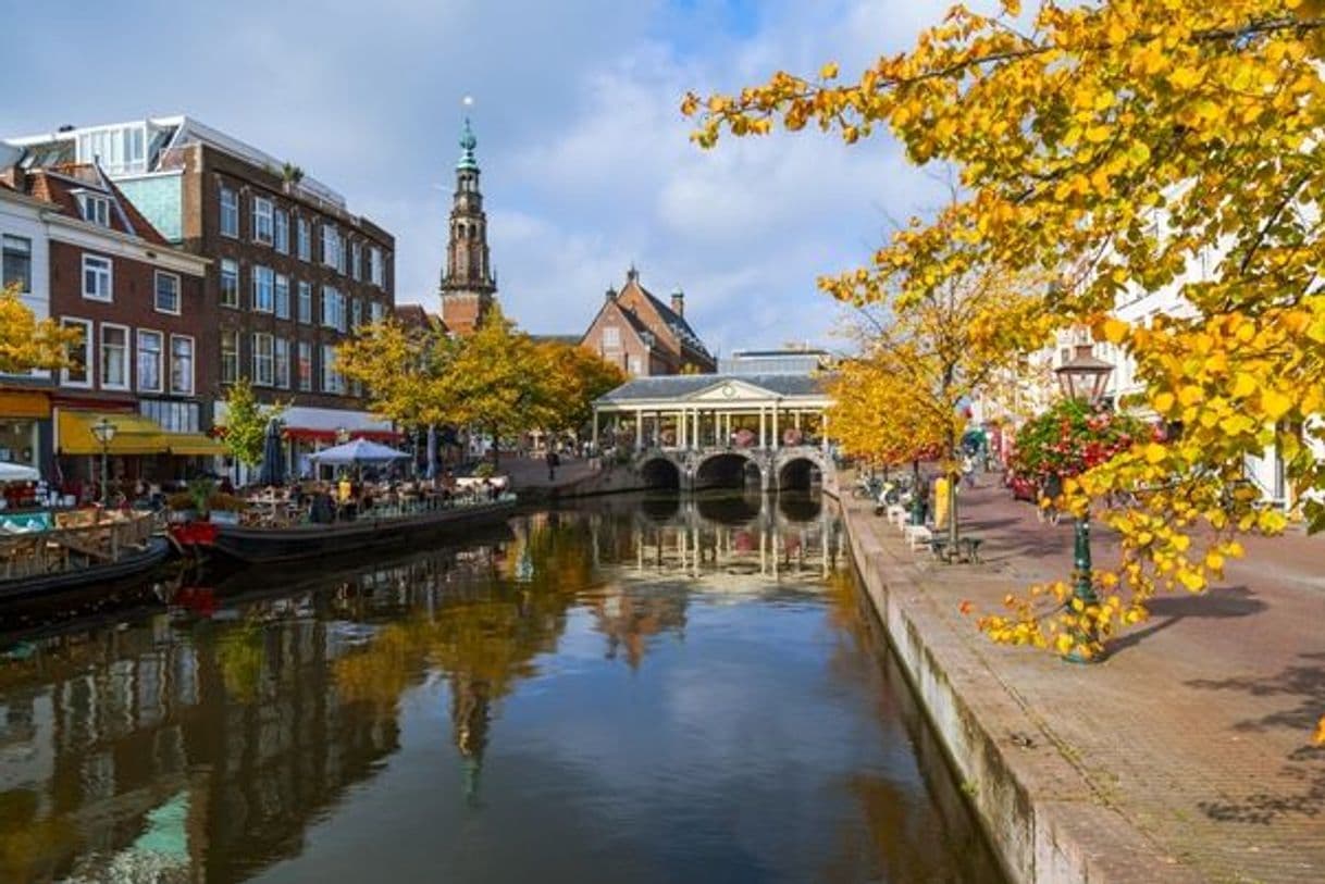 Place Leiden