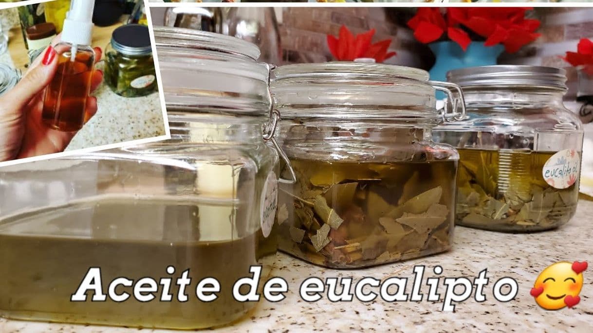 Fashion Como hacer aceite de eucalipto - YouTube