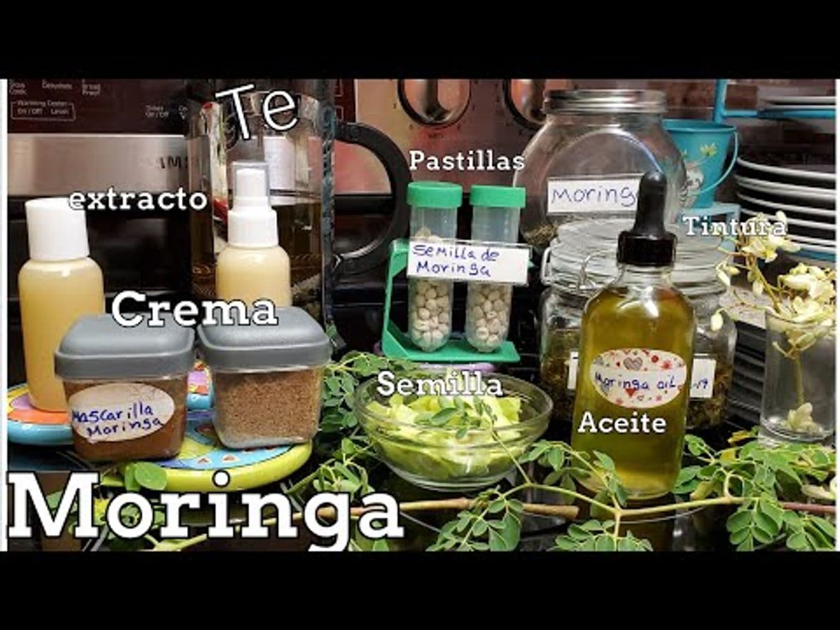 Fashion Como hacer aceite de moringa/te/crema/pastillas usos y propiedades