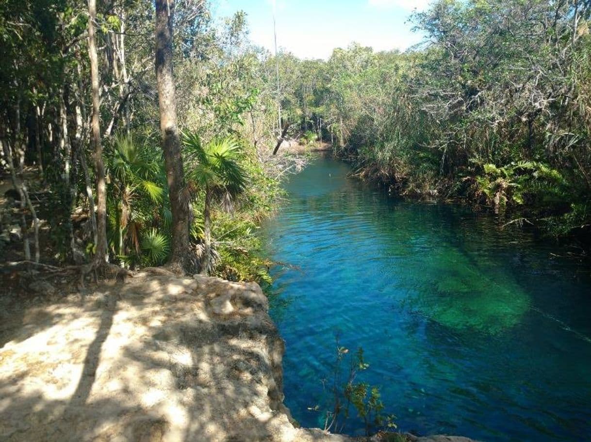 Place Cenote Jaguar