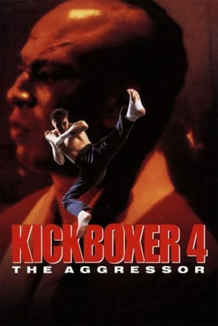 Película Kickboxer 4: The Aggressor