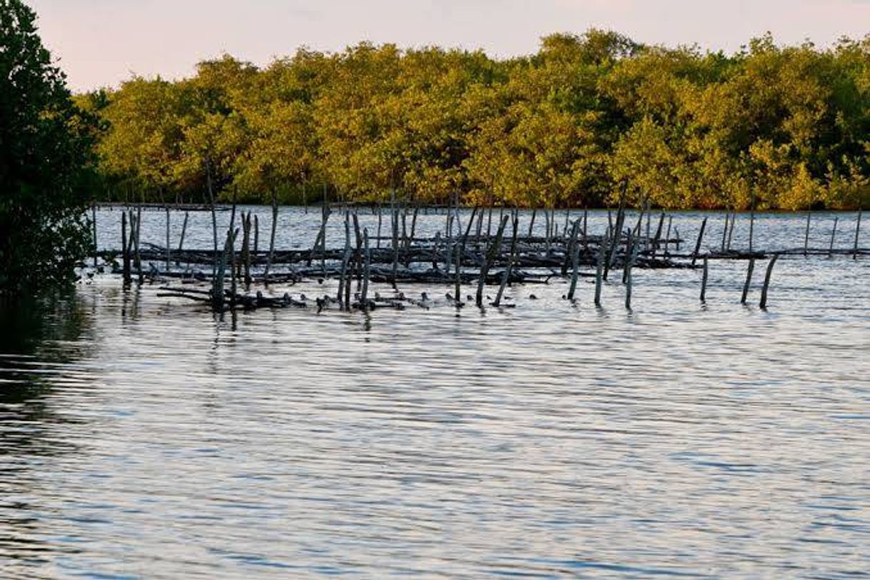 Lugar Boca de Camichín