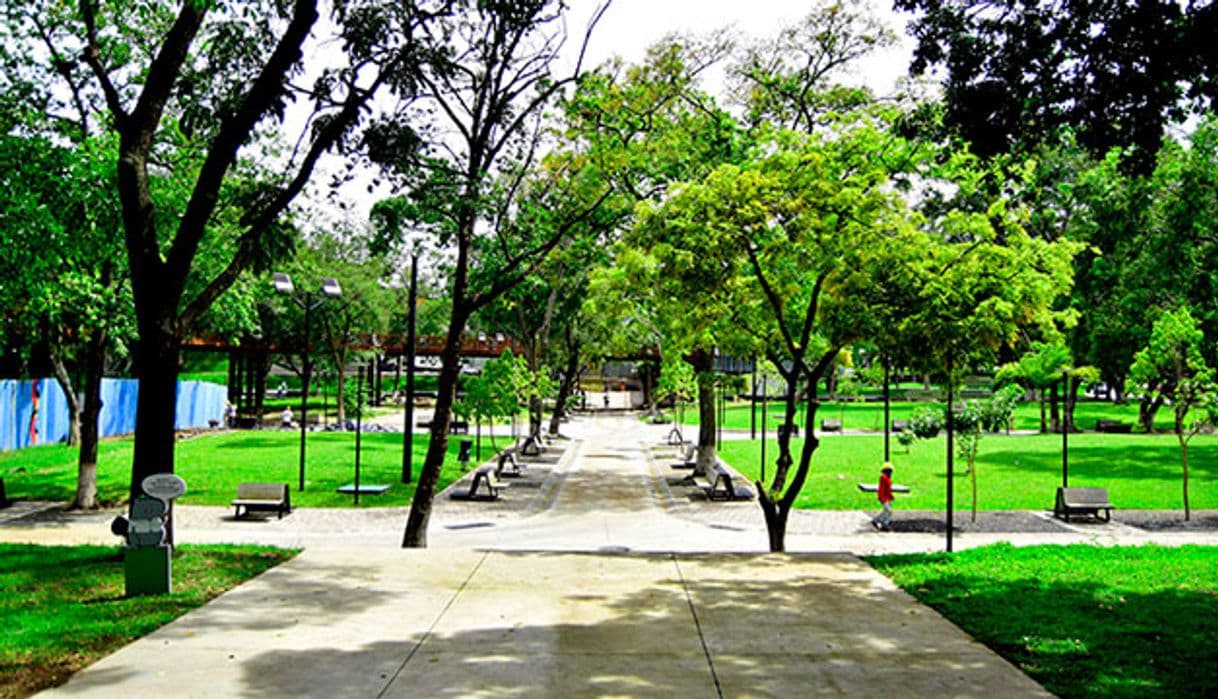 Lugar Parque Cuscatlán