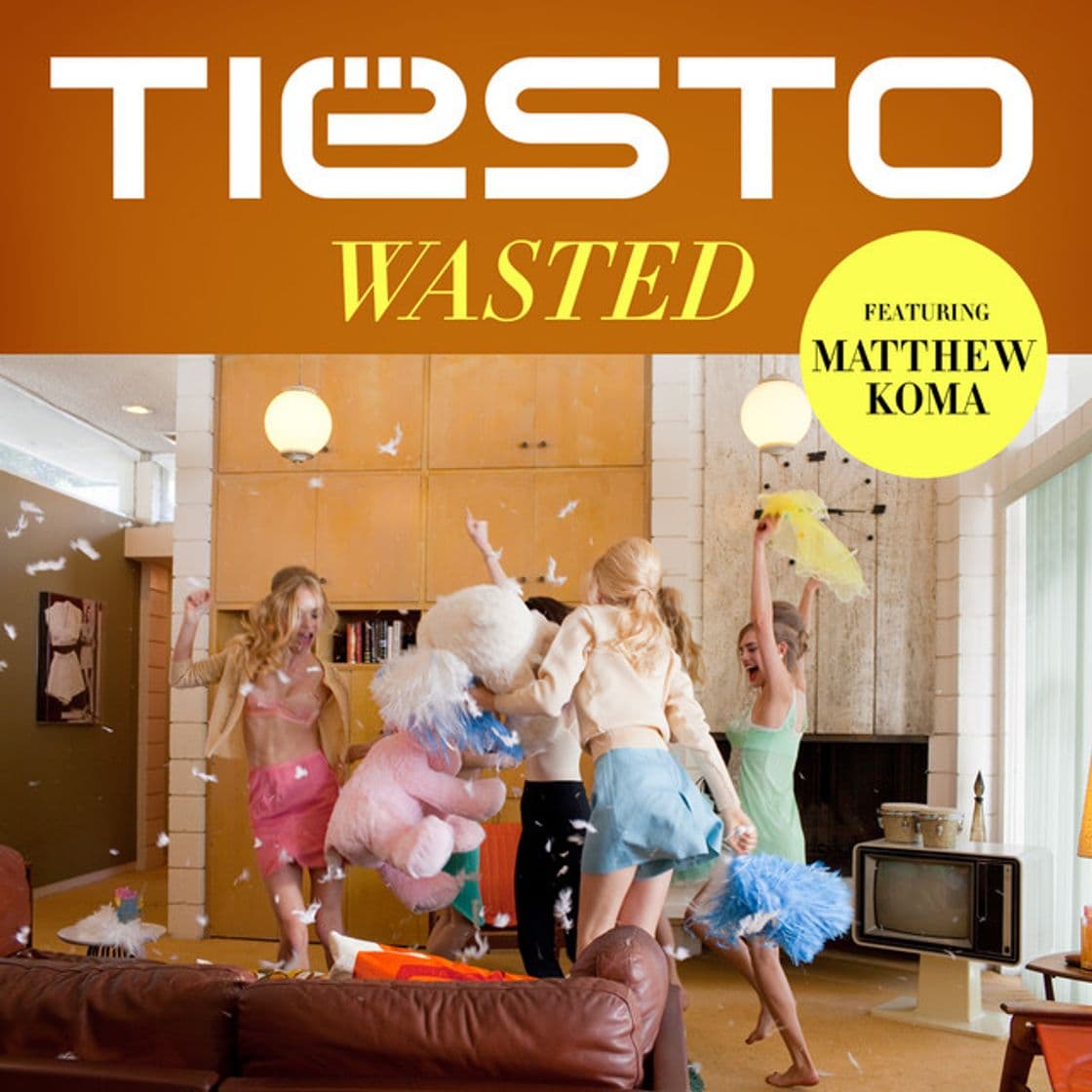 Canción Wasted