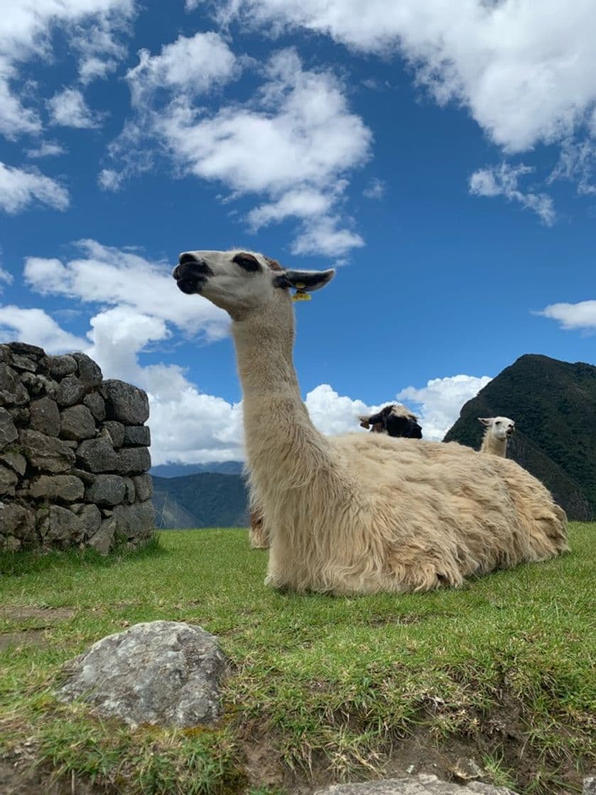 Lugar Machupicchu