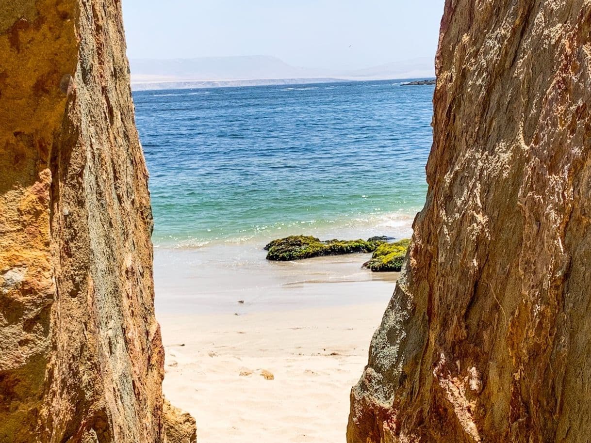 Lugar Playa La Mina Paracas