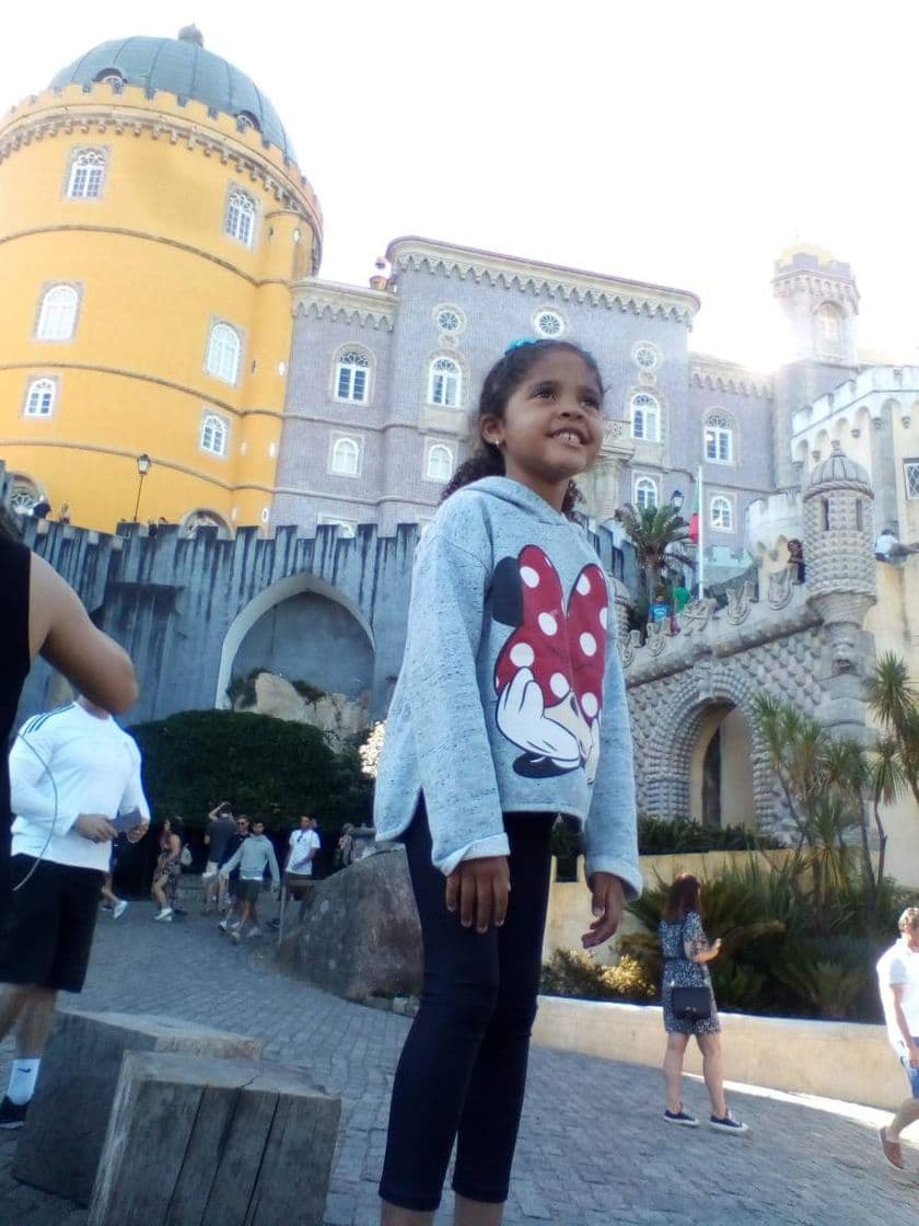 Lugar Palacio da Pena