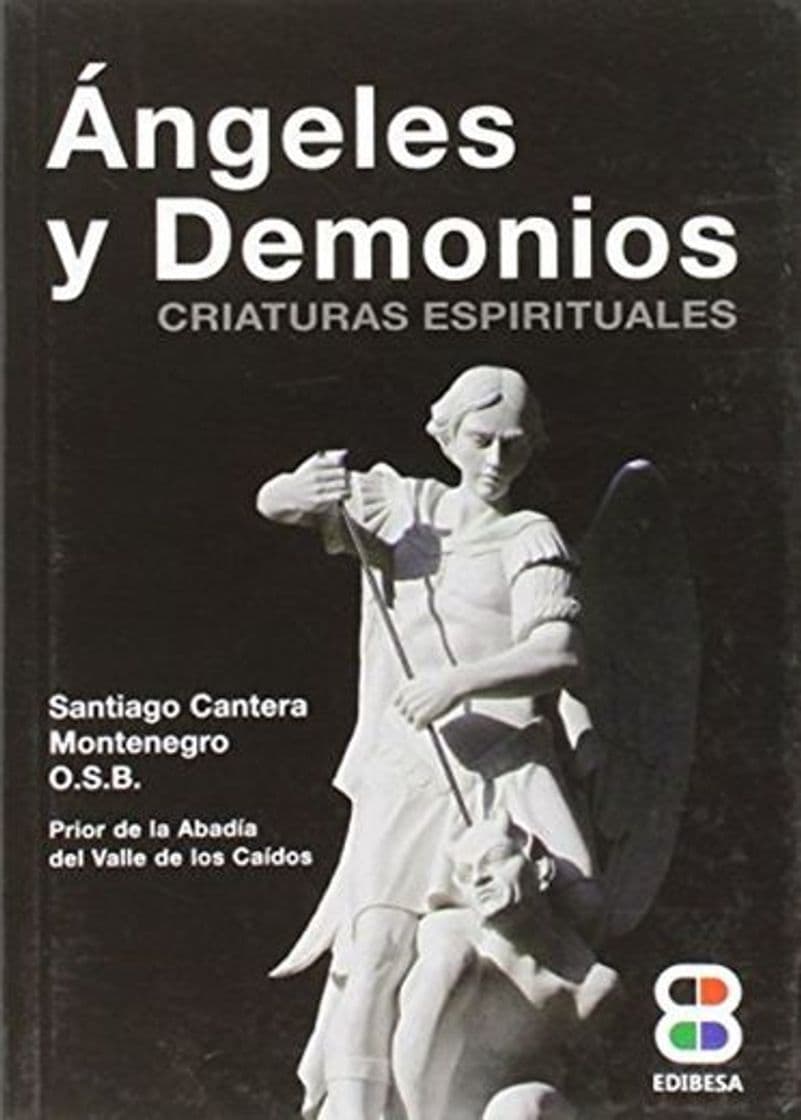 Libro Angeles y Demonios