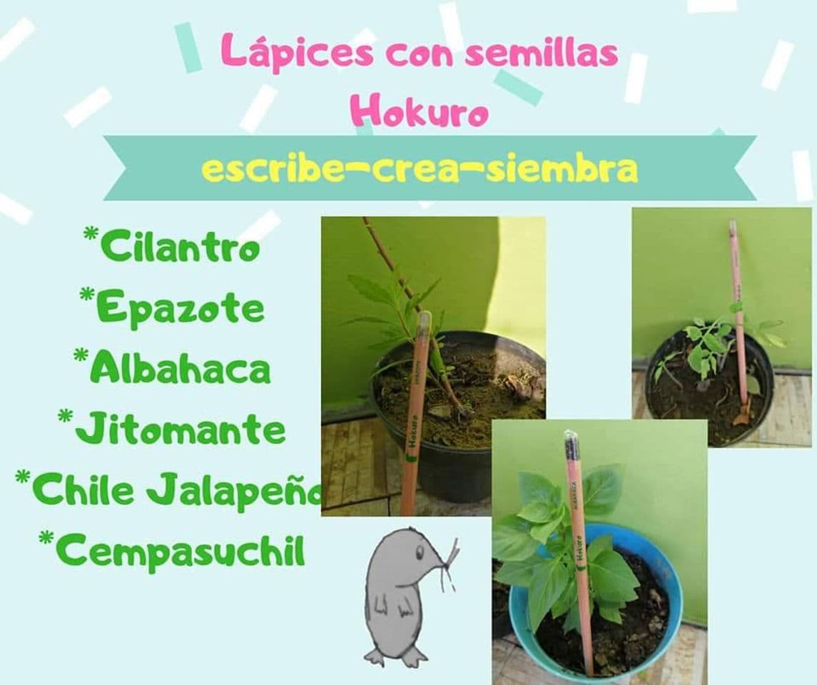 Product Lápices con semillas