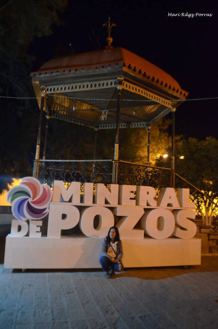 Place Mineral de Pozos