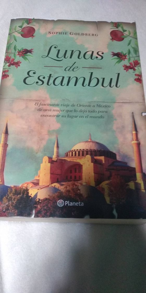 Book Lunas de Estambul