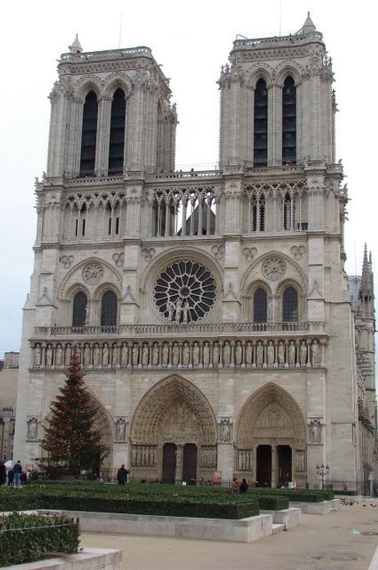 Place Catedral de Notre Dame