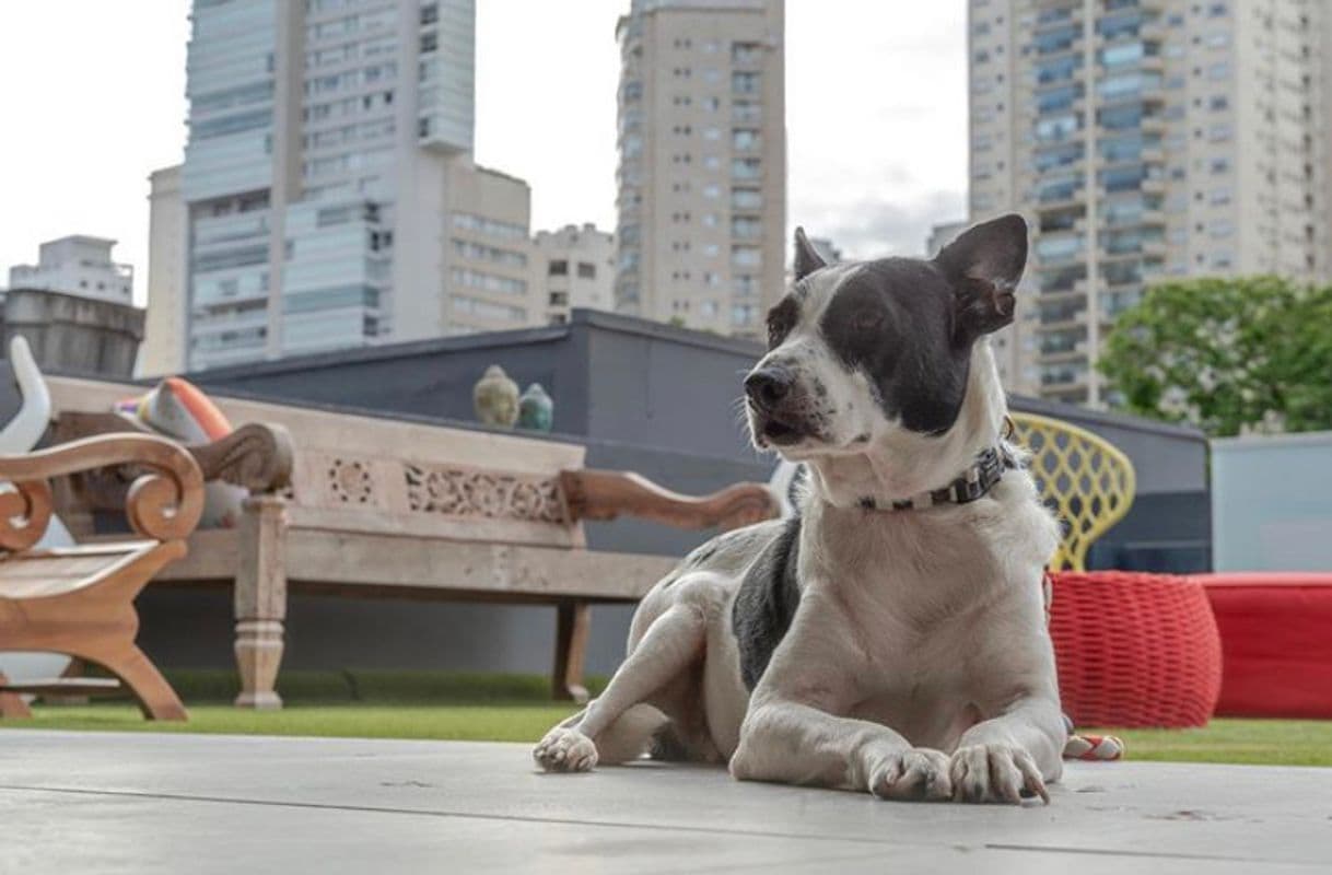 Restaurantes Frê Forneria