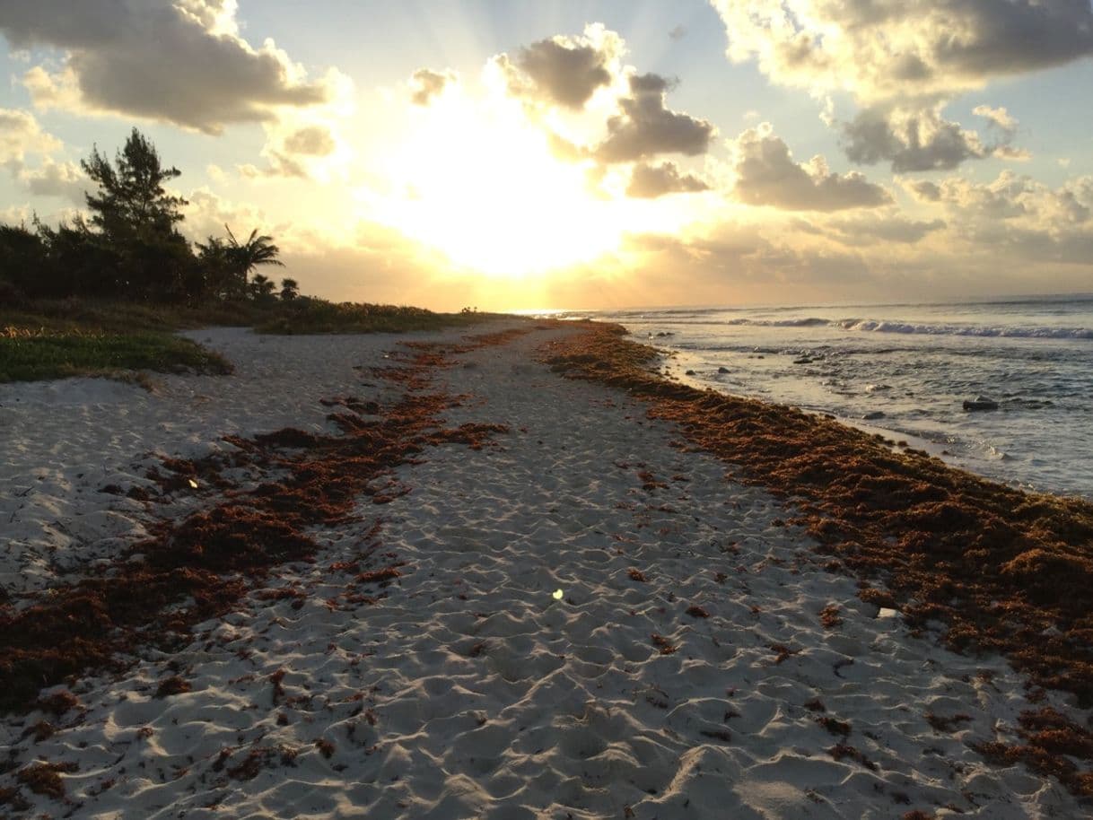 Lugar Playa del Carmen