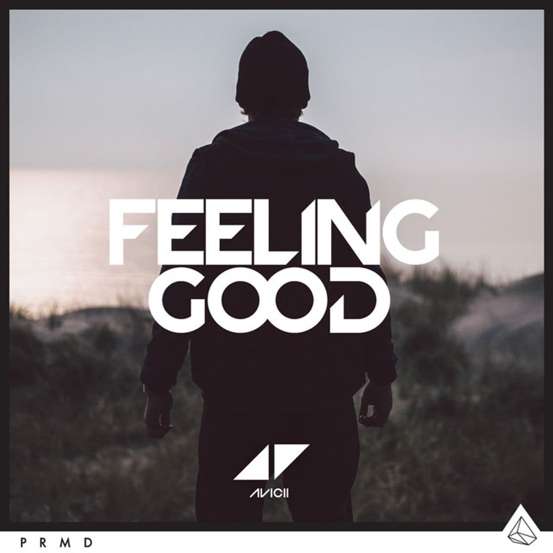 Canción Feeling Good