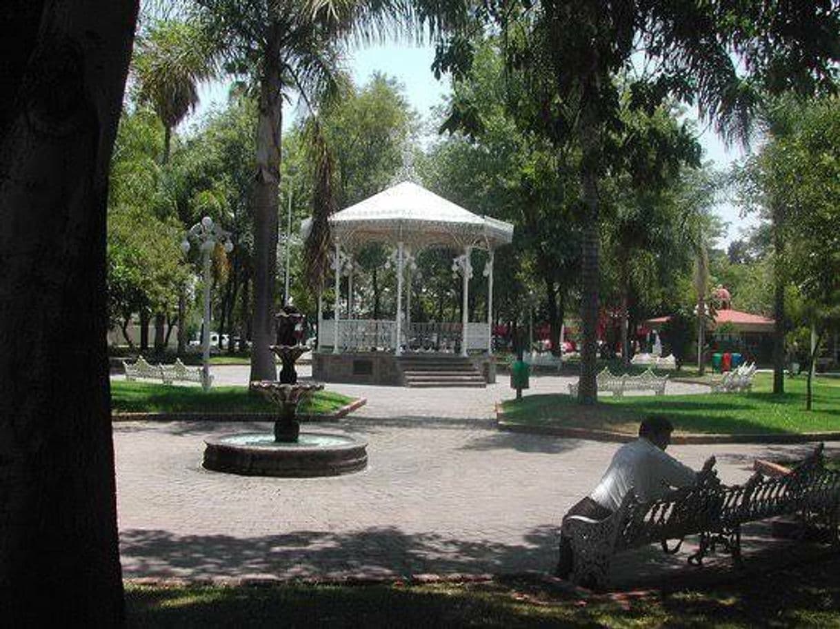 Lugar Jardín Del Arte De La Glorieta Chapalita