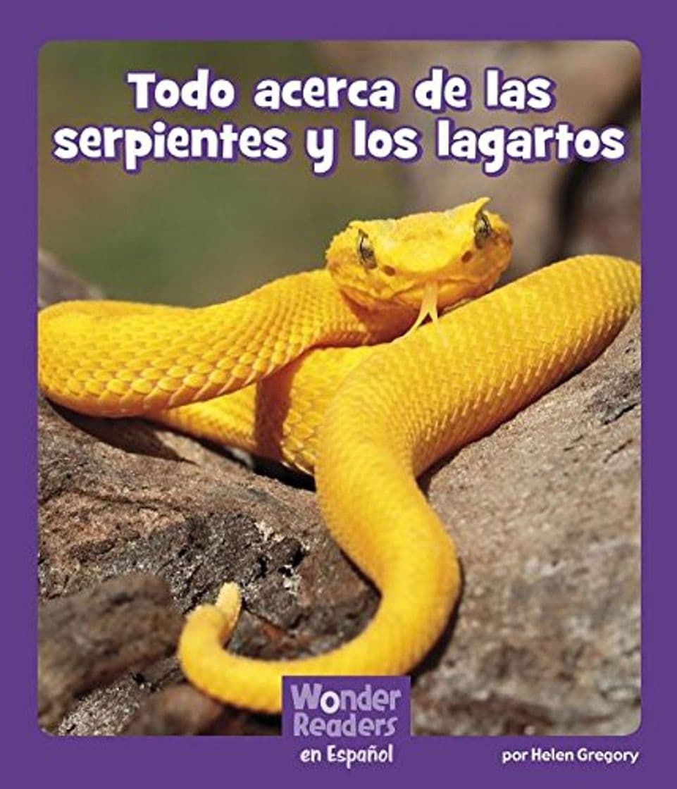 Libro Todo Acerca de Las Serpientes Y Los Lagartos