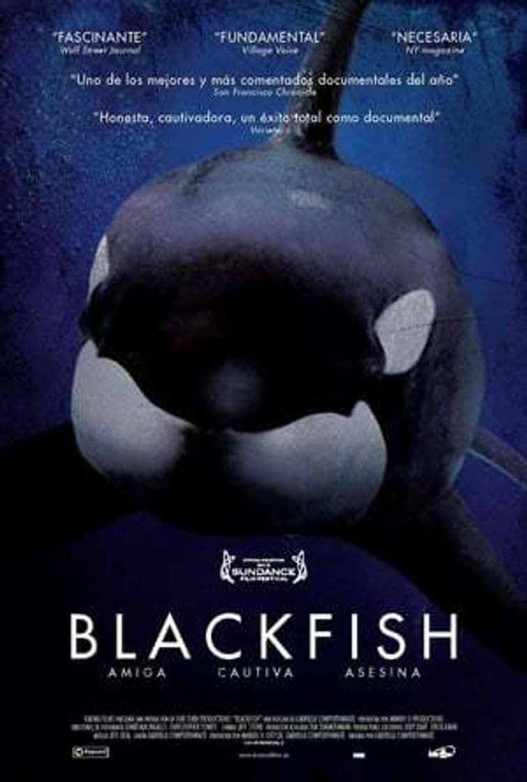 Película Blackfish