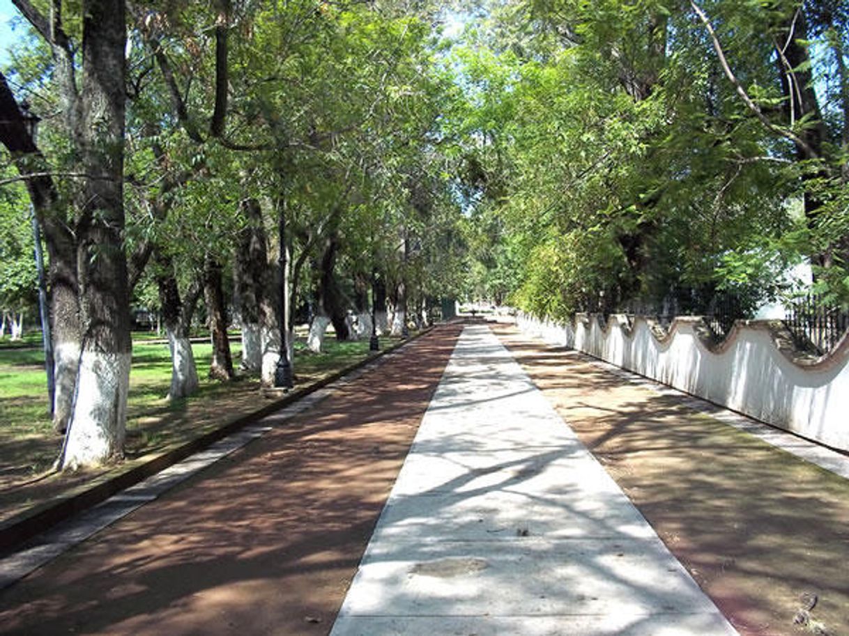 Lugar Bosque Cuauhtémoc