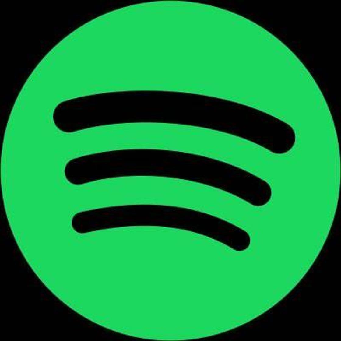 Fashion spotify