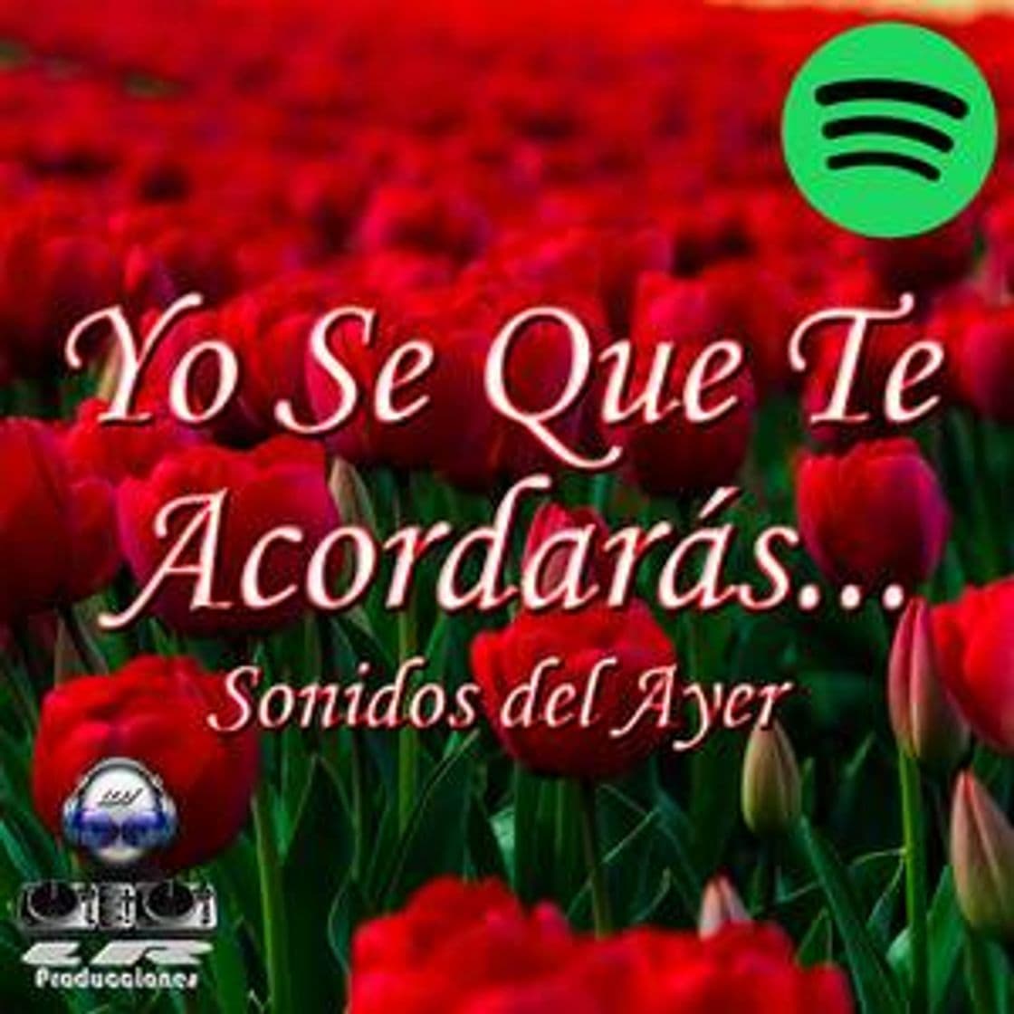 Canción 🅂🄾🄽🄸🄳🄾🅂 🄳🄴🄻 🄰🅈🄴🅁 musica Romántica 