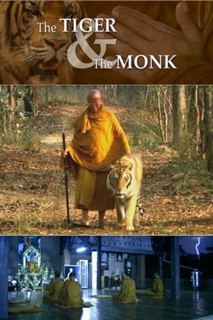 Movie The Tiger and the Monk