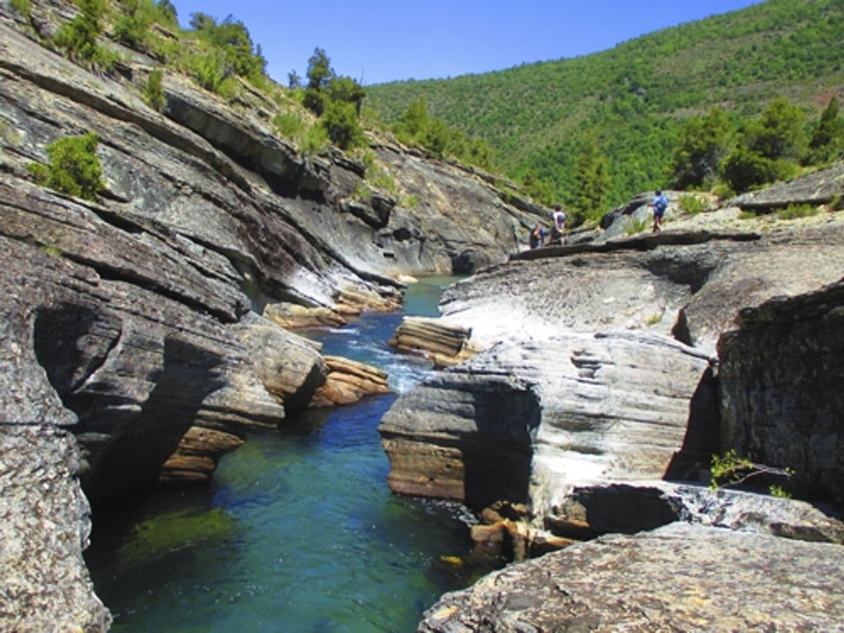 Lugar Reserva nacional Ñuble