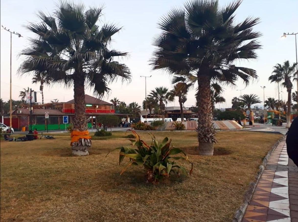 Place Arica