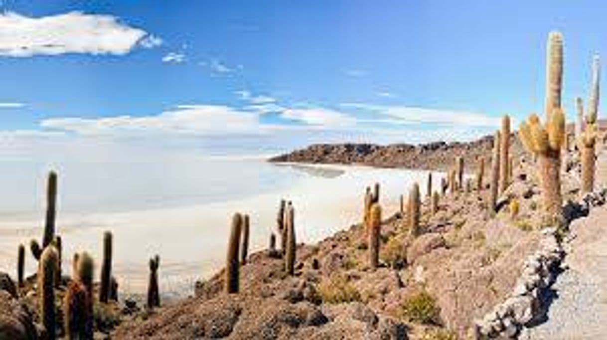 Place Salar de Uyuni