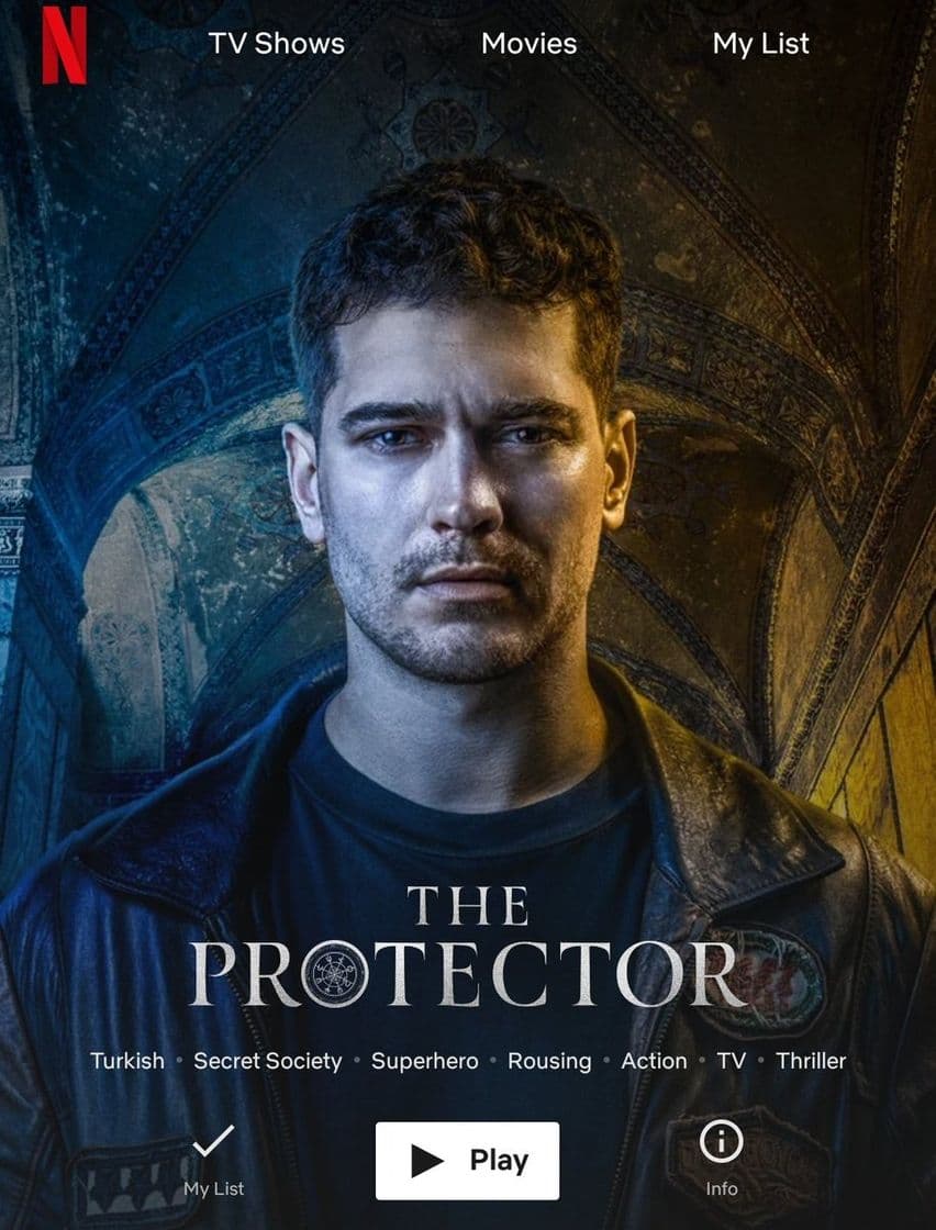 Serie The Protector