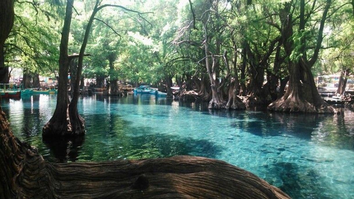 Lugar Lago de Camécuaro