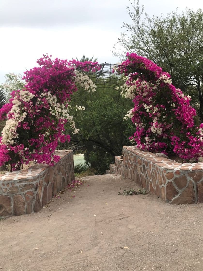 Lugar Cabañas La Purísima