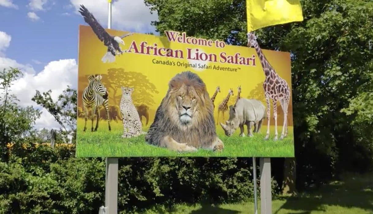 Lugar African Lion Safari