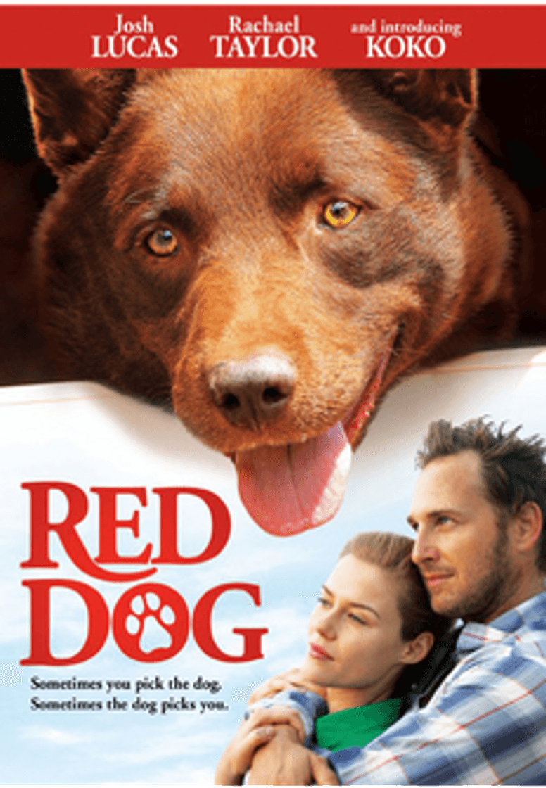 Película Red Dog