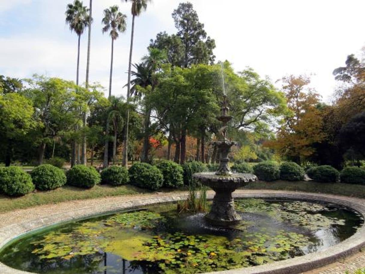 Place Jardin Botanico