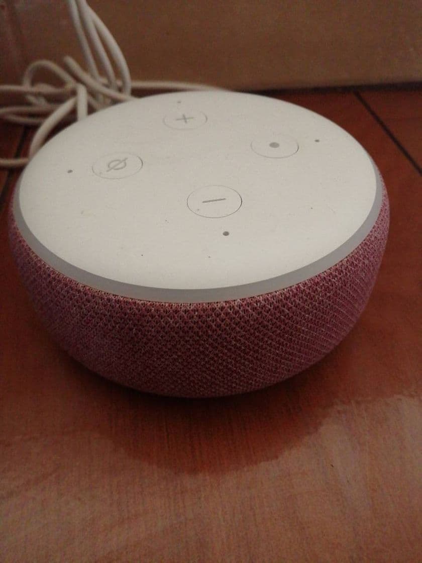 Electronic Echo Dot