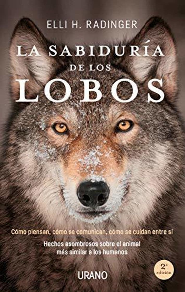 Libro La sabiduría de los lobos