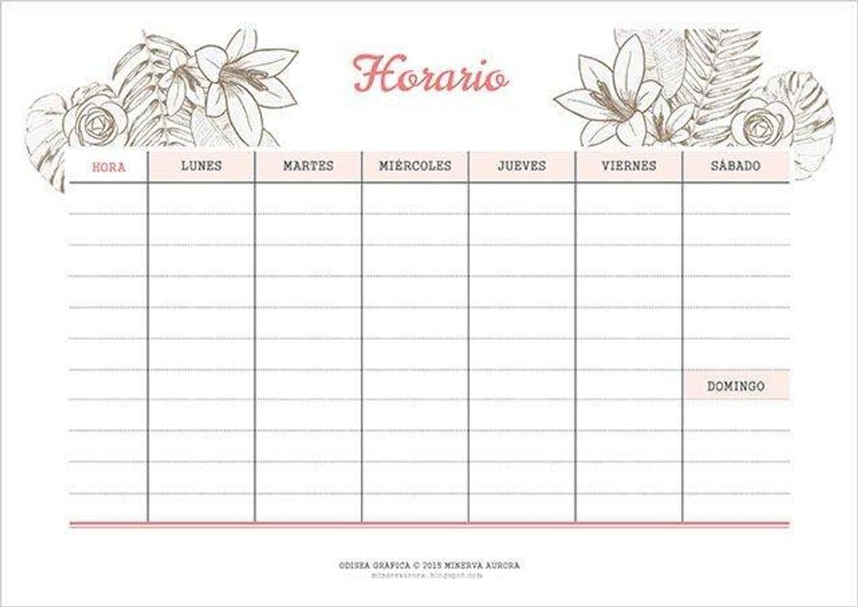 Fashion Horario