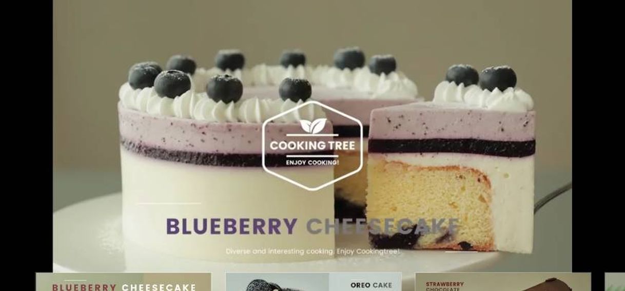 Moda  Blueberry Cheesecake Recipe- The cooking tree