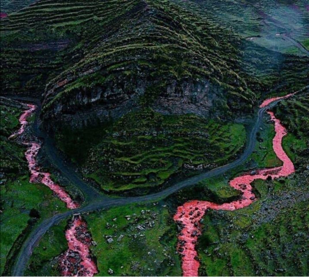 Place Rio Rojo Cusco