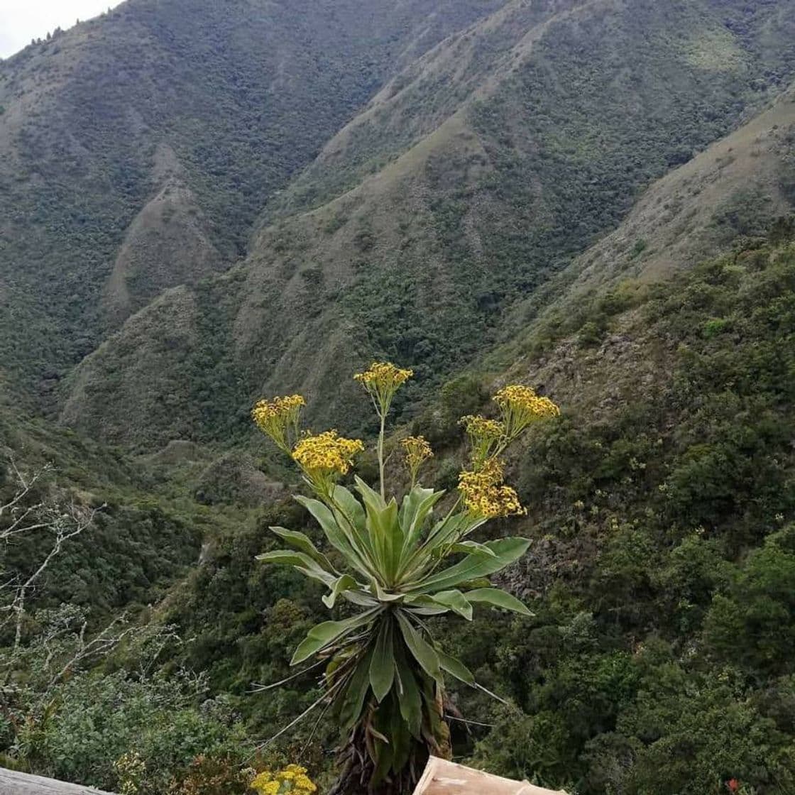 Lugar Mirador Sendero Ecológico La Zarza