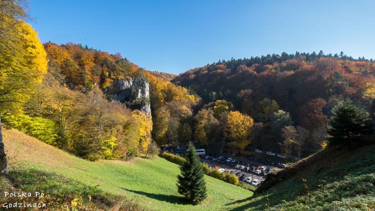 Lugar Parque nacional Ojców