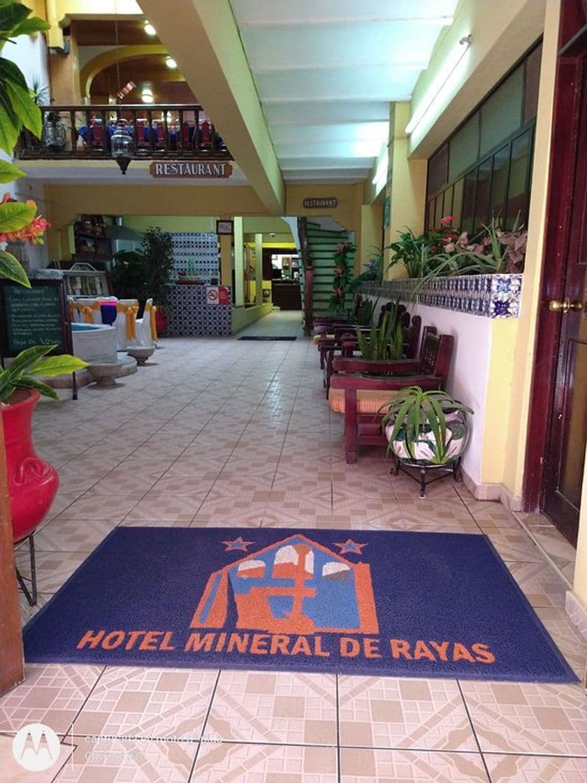 Place Hotel Mineral De Rayas