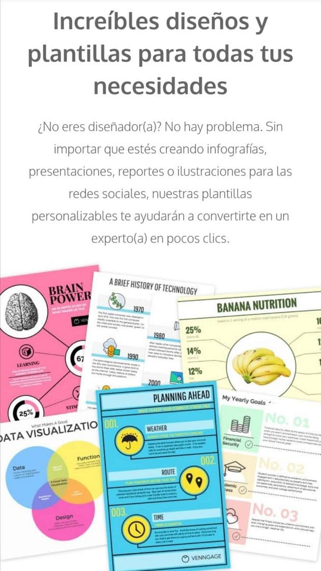 Fashion Venngage: Creador de Infografías Gratuito