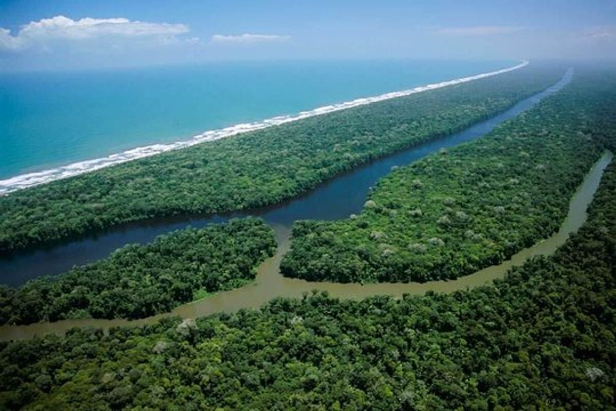 Place Tortuguero National Park