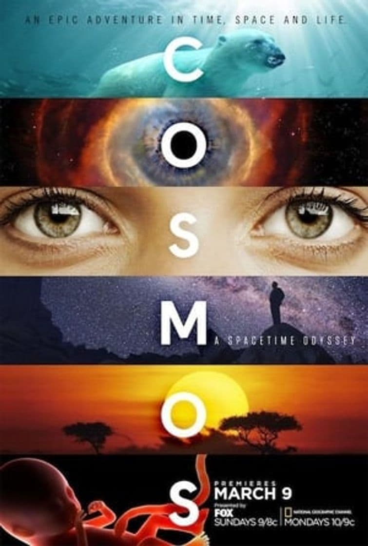 Movie Cosmos: A Spacetime Odyssey