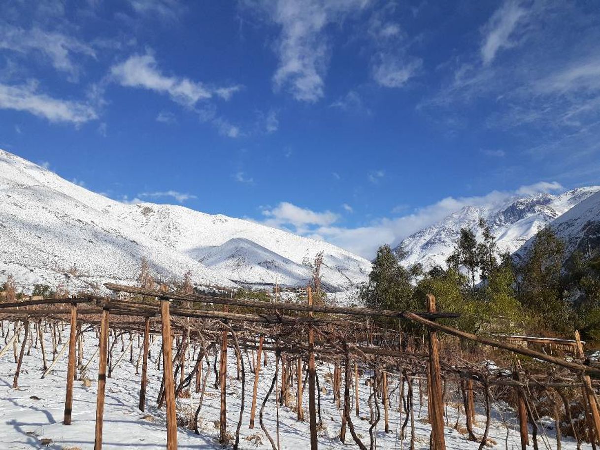 Lugar valle de Elqui